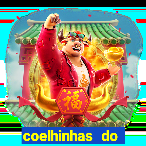 coelhinhas do brasil site